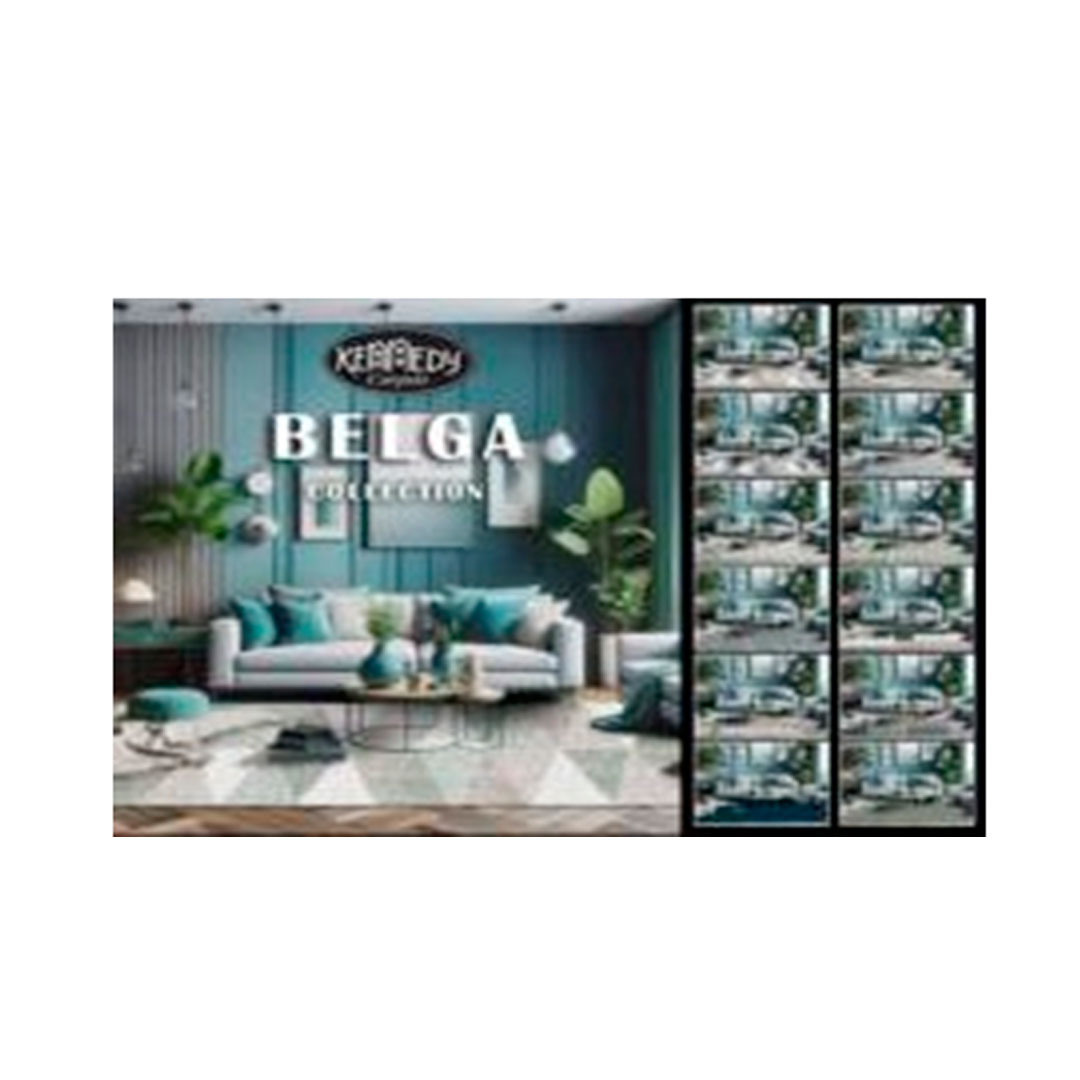 ALFOMBRA DE AREA-BELGA-100X150